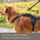 Curli-Stretch-Comfort-Leash