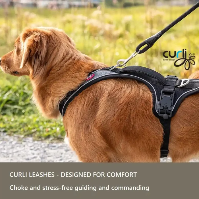 Curli-Stretch-Comfort-Leash Curli-Stretch-Comfort-Leash