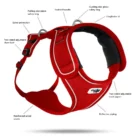 curli-dog-harness-basic-belka-large-dog-description