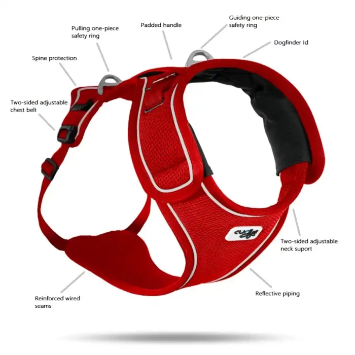 curli-dog-harness-basic-belka-large-dog-description