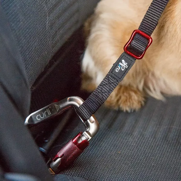 Curli_Car-Safety-Belt-demo Curli_Car-Safety-Belt-demo