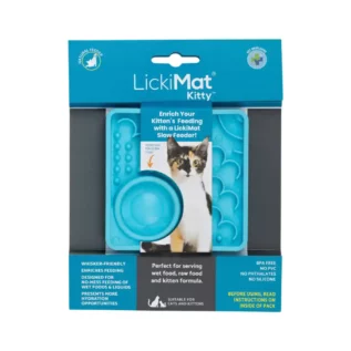 LIC-LM9805TQ-CR-Catster-Kitty-Turquoise LIC-LM9805TQ-CR-Catster-Kitty-Turquoise