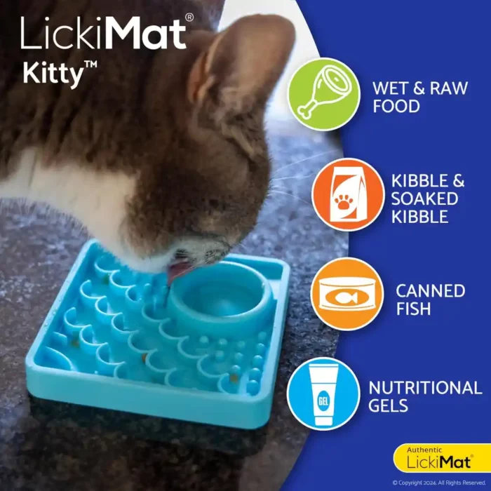 LIC-LM9805TQ-CR-Catster-Kitty-Turquoise-feeding