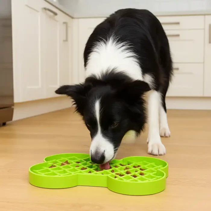 LIC-SD6009GN-LickiMat-Slodog-Green feeding