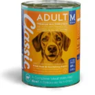 6009686620506-4190-CLASS-DOG-WET-FOOD-POUCH-BEEF-and-GRAVY-385-G-TIN.webp