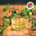 Dog-Buchu-Anti-Inflamatory-Moisturising-Oil–150ml-2