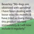 Vondi’s-Spirulina-Sprinkle-90g-2