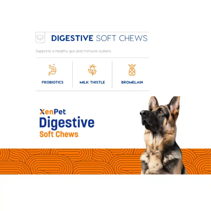 Xenpet-supplements-digestive-care-soft-chew Xenpet-supplements-digestive-care-soft-chew