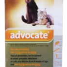 ADVOCATE-CATKITTEN-1-4KG-ORANGE