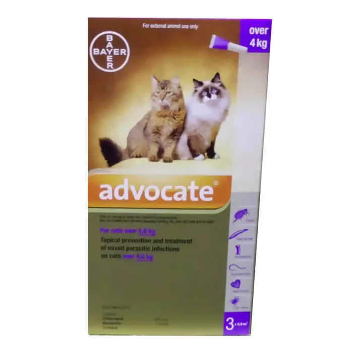 ADVOCATE-CAT-4KG-AND-OVER-PURPLE