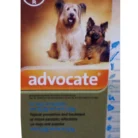 ADVOCATE-DOG-4-10KG-TURQIOSE