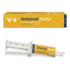 ANTEZOLE_PASTE_30ML.webp