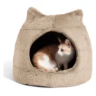 BEST_FRIENDS_MEOW_HUT_WHE_MED.webp