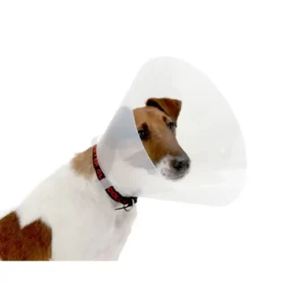 Buster Click Collars