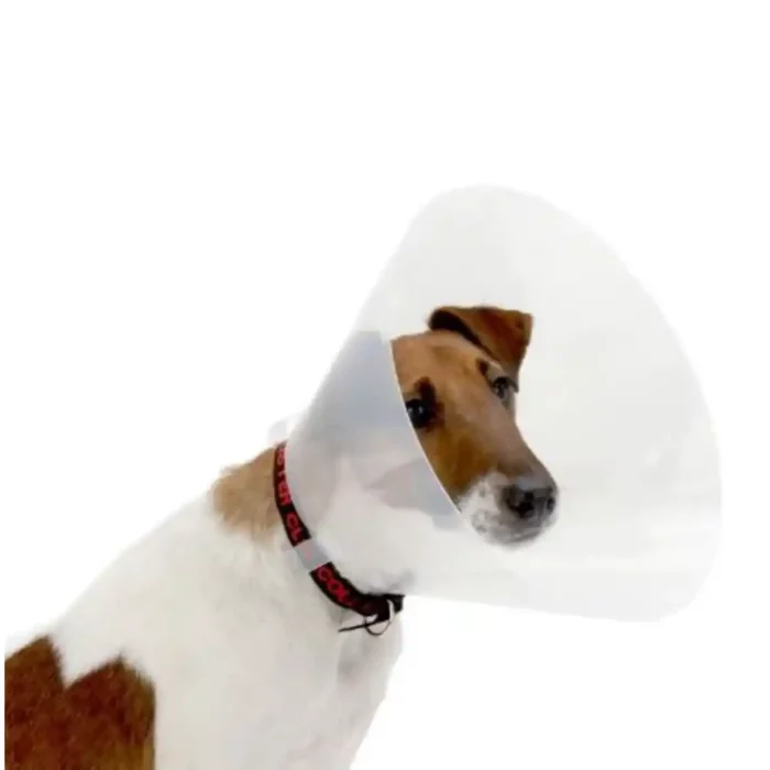 BUSTER_CLICK_COLLARS_125CM_1S.webp BUSTER_CLICK_COLLARS_125CM_1S.webp