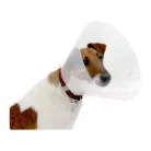 BUSTER_CLICK_COLLARS_15CM_1S.webp