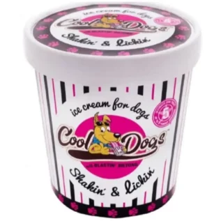 Cool Dogs Ice Cream Blasting Biltong Tub 195G