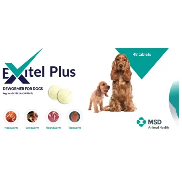 EXITEL_PLUS_TABS_48S.webp
