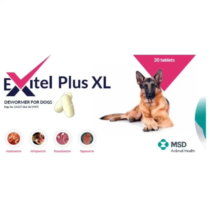 EXITEL_PLUS_XL_TABS_20S.webp