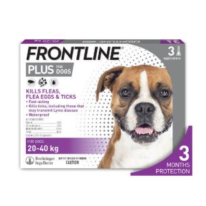 Frontline Plus Large Dog 20–40 kg | Powerful Flea & Tick Protection