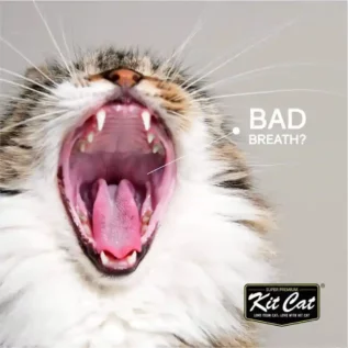 Kit-Cat-Breath-bites-Chews-Treats-Pet-Plus-Bad-Breath Kit-Cat-Breath-bites-Chews-Treats-Pet-Plus-Bad-Breath