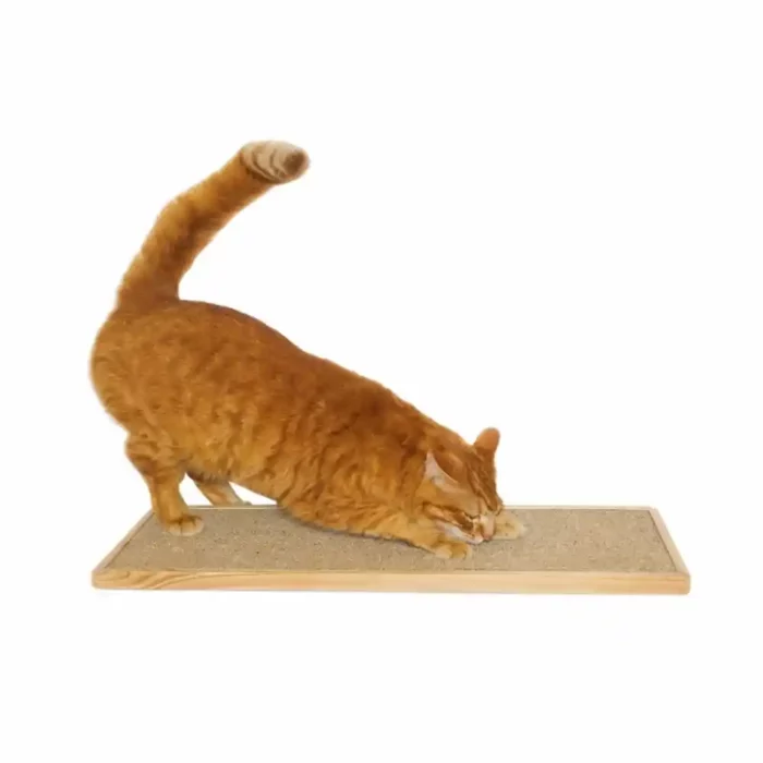 Kunduchi-Floor-Unit-ginger-cat-scratching-floor-unit Kunduchi-Floor-Unit-ginger-cat-scratching-floor-unit
