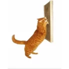 Kunduchi-Floor-Unit-ginger-cat-wall-scratcher