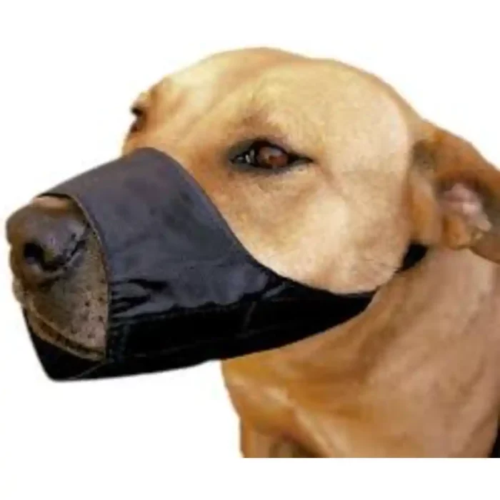 LAKATO_MUZZLE_6_EA.webp LAKATO_MUZZLE_6_EA.webp