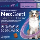 NEXGARD_SPECTRA_LAR_151-30KG_1S.webp