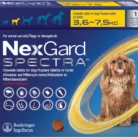 NEXGARD_SPECTRA_SML_36-75KG_1S.webp