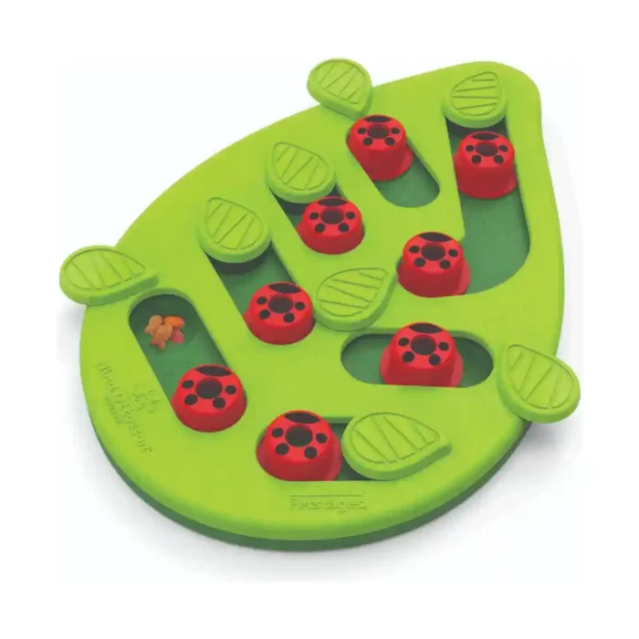 Nina-Ottosson-Puzzle-N-Play-Buggin-Out.webp