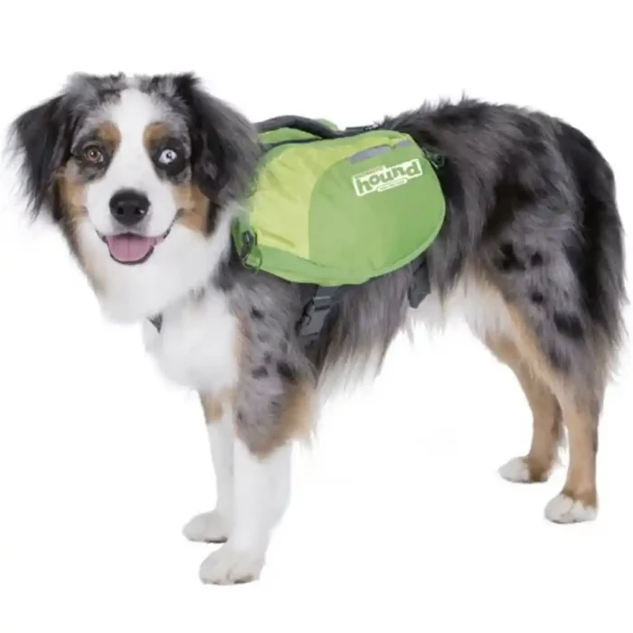 OH_DAYPAK_GREEN_LG.webp