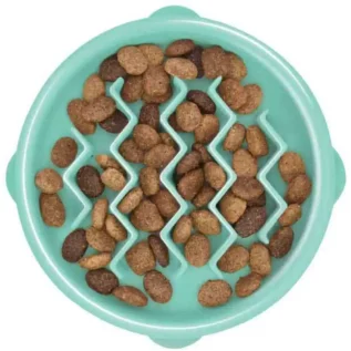 OH_FUN_FEEDER_MINT_TINY.webp