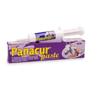 Panacur Equine Paste 24G