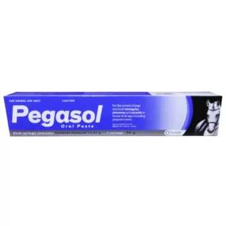 Pegasol Horse Paste 26G