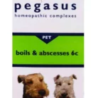 PEGASUS_BOILABSCESSES_25G.webp