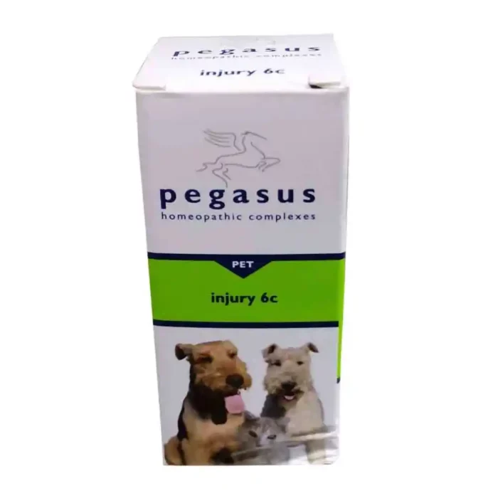 PEGASUS_INJURY_25G.webp