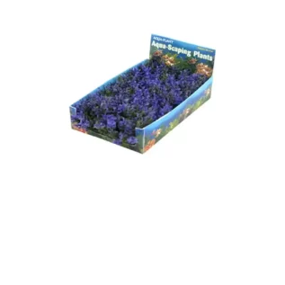 PENN_PLAX_PURPLE_BUNCH_SMALL_6CM_5S.webp