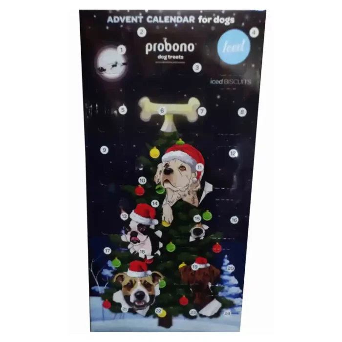 PRO_BONO_ICED_ADVENT_CALENDAR_1S.webp