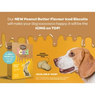 Pro Bono Iced Peanut Butter