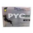 PYOSPOT_DOGS_20-40KG_4s.webp