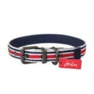 ROSEWOOD_STRIPED_COLLAR_LARGE.webp
