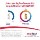 bravecto-lasts-longer