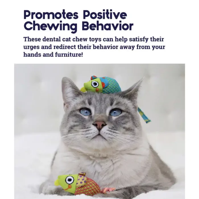 catnip-chew-mice-dental-health-cat-toy-2-pack-positive-chewing catnip-chew-mice-dental-health-cat-toy-2-pack-positive-chewing