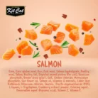 kit-cat-cranberry-crisps-crunchy-cat-treats-salmon