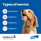 milbemax-chew-large-dogs-broad-spectrum-dewormer-48-types-of-worms