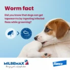 milbemax-chew-large-dogs-broad-spectrum-dewormer-worm-fact