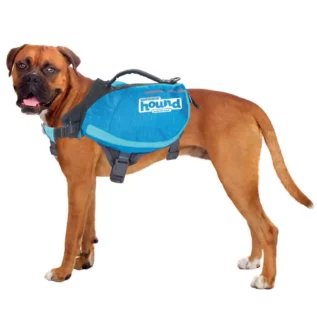 Outward Hound DayPak Saddleback Dog Backpack worn by a dog during an outdoor hike