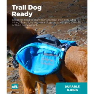 outward-hound-daypak-saddleback-dog-backpack-blue-trail-ready outward-hound-daypak-saddleback-dog-backpack-blue-trail-ready