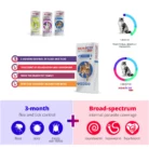 Bravecto-plus-worm-tick-flea-treatment-for-cats